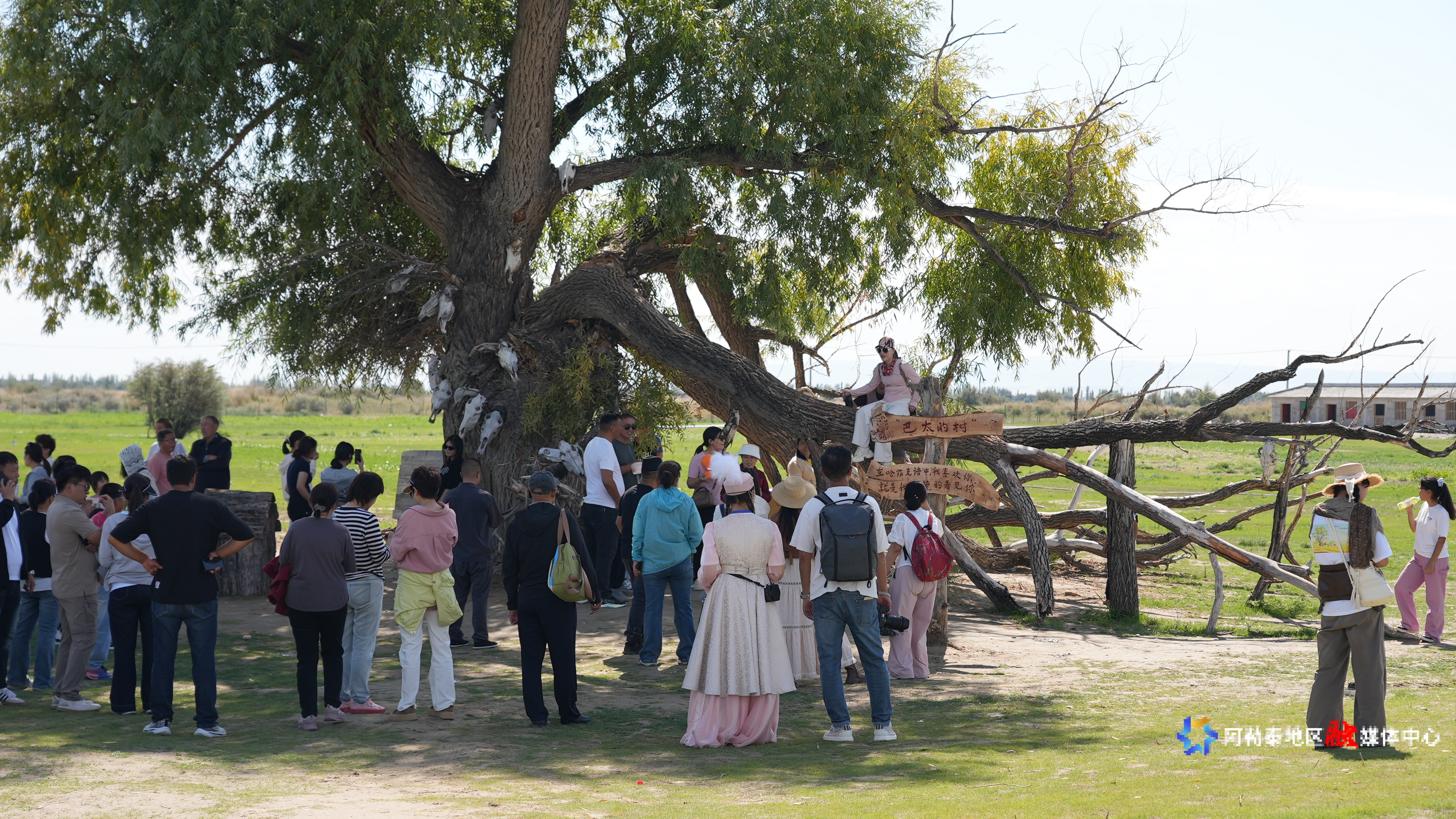 mmexport1755534507107